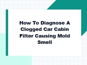 Diagnosing a Clogged Cabin Filter for Mold Smell