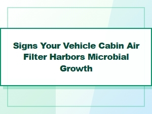 Diagnosing Microbial Growth in Your Cabin Air Filter