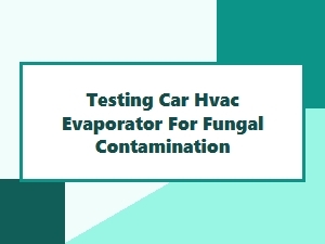 Testing Your Car's Evaporator for Mold Contamination
