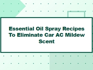Essential Oil Sprays to Remove Car Ac Mildew Odors
