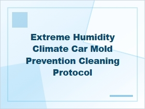 Ultimate Guide to Car Mold Cleaning in Humid Climates