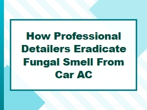 Professional Detailers Eradicate Fungal Car Ac Smells