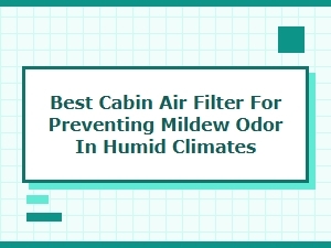 Optimal Cabin Filters to Prevent Humid Climate Mold Odors