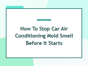 Preventing Mold Growth in Your Car's Cabin Filter