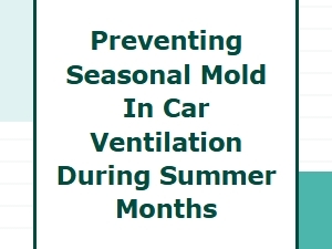 Tips to Stop Summer Mold in Your Car's Cabin Filter