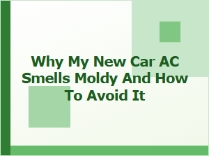 Preventing Moldy Car Ac Odors From Cabin Filters