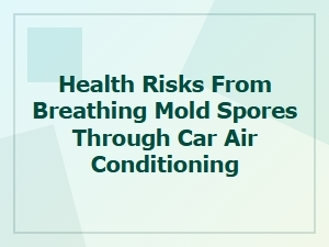 Replacing Moldy Cabin Filters to Protect Your Health