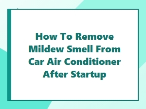 Your Guide to a Fresh Cabin Air Filter Replacement