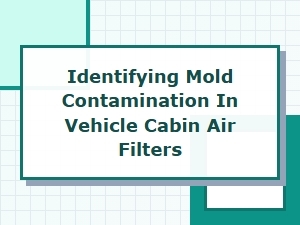 How to Spot Mold in Your Car's Cabin Air Filter