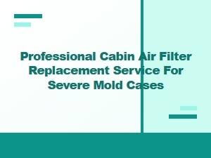Restoring Air Quality with Professional Filter Replacement