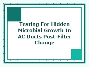 Testing for Hidden Microbial Growth After Filter Replacement